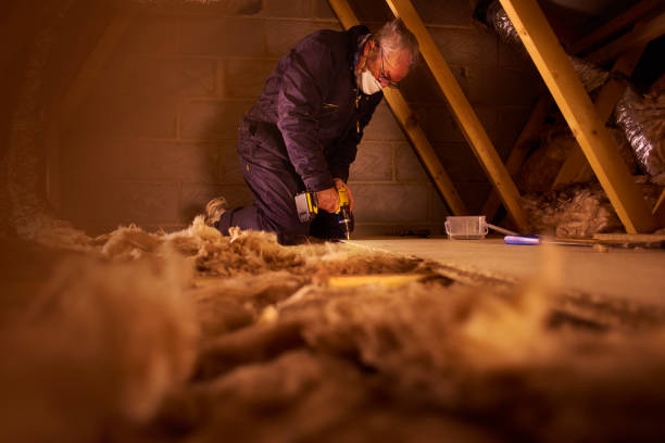 Best Spray Foam Insulation in Elsberry, MO